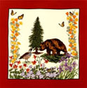 california Historical society scarf